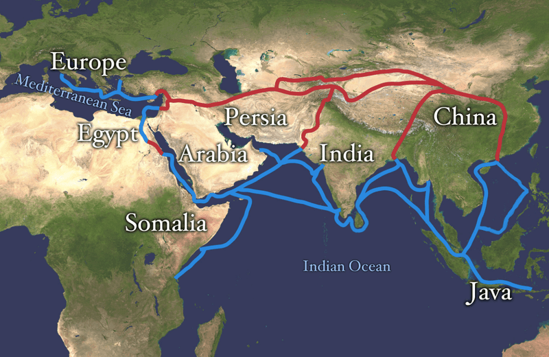 The Trade Networks