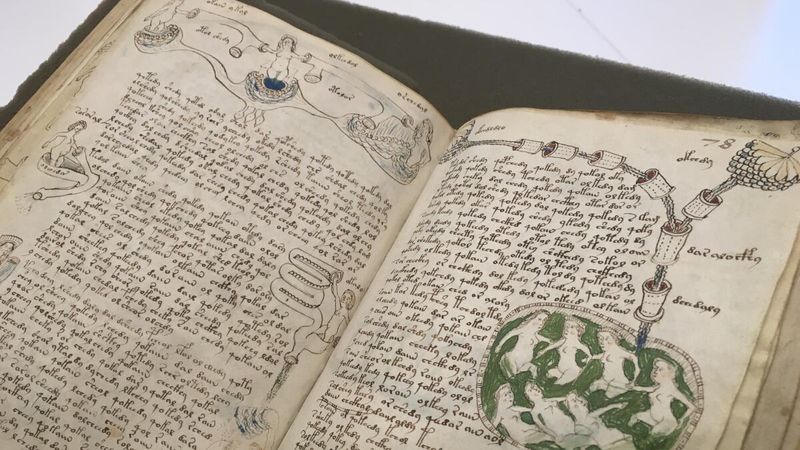The Voynich Manuscript (15th Century CE)
