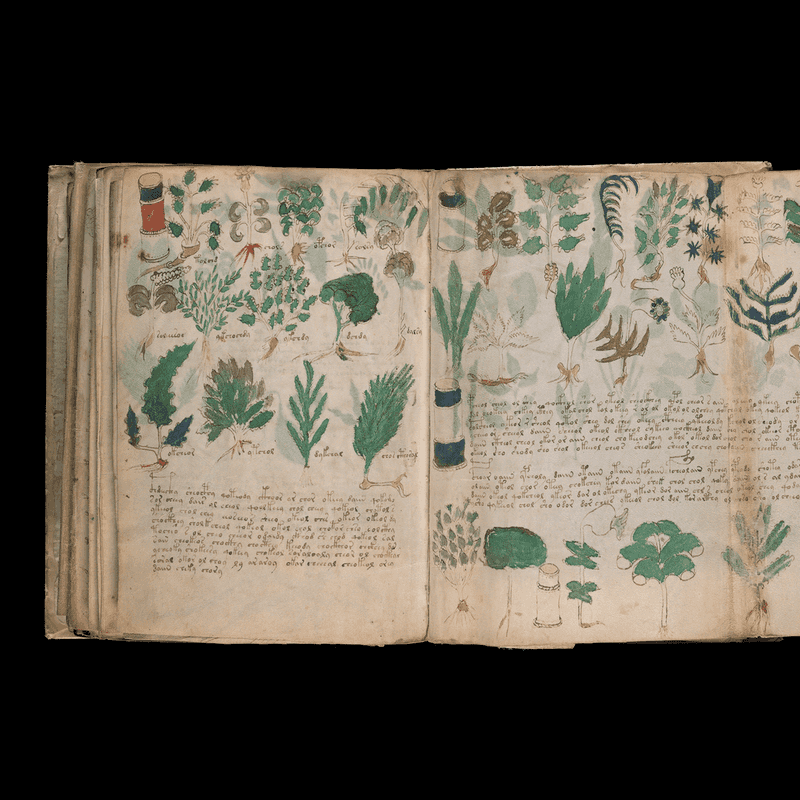 The Voynich Manuscript