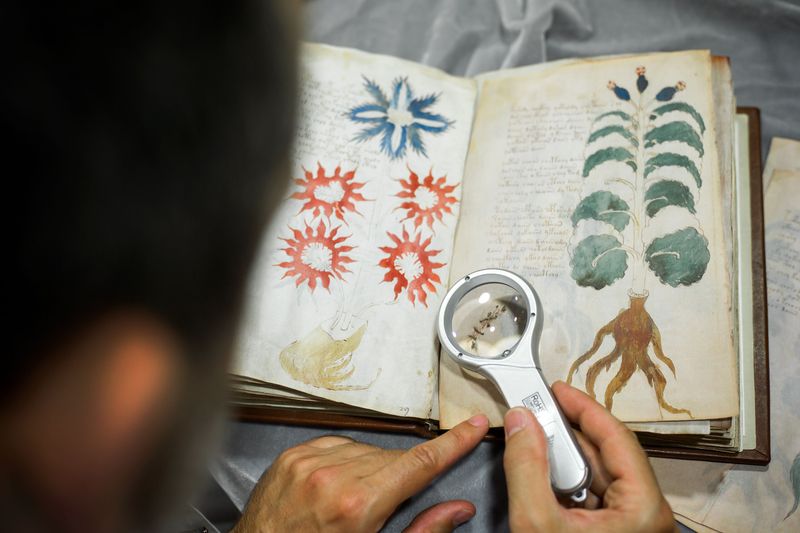 The Voynich Manuscript