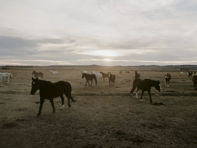 The Wild West's Hidden Environmental Challenges