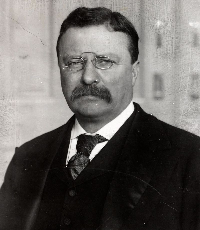 Theodore Roosevelt: Fried Chicken