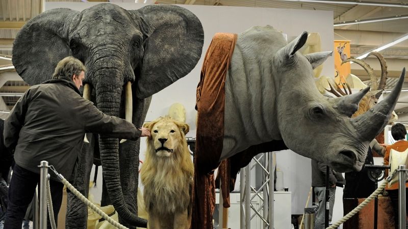 Trophy Hunting