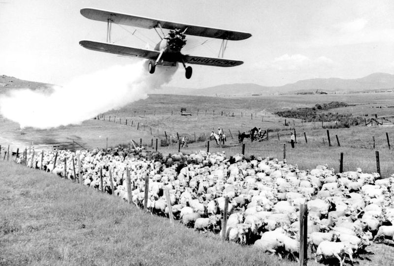 Unrestricted Pesticides