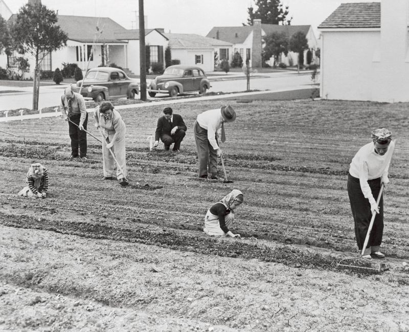 Victory Gardens