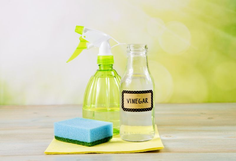 Vinegar for Cleaning