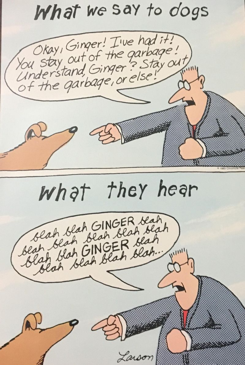 What We Say to Dogs vs. What They Hear (1984)