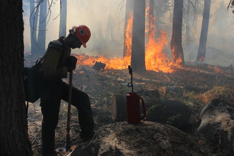 Yosemite Rim Fire of 2013