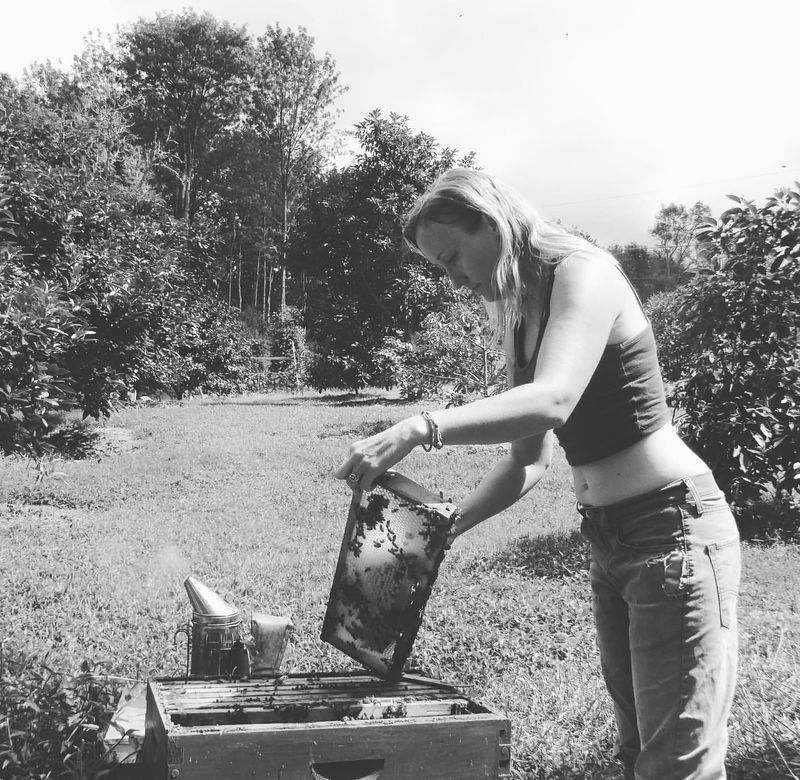 Beekeeping for Honey