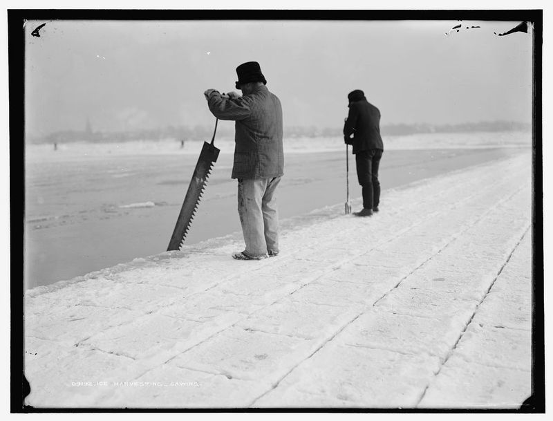 Harvesting Ice for Iceboxes