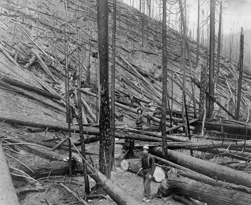 Peshtigo Fire of 1871