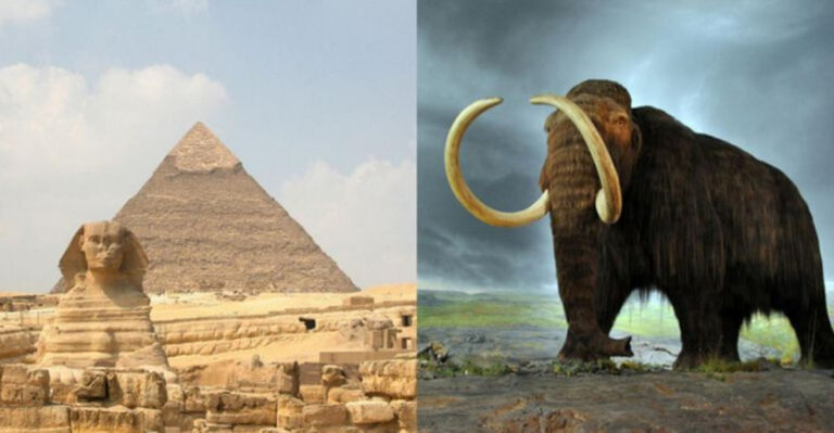 19 Mind-Blowing Historical Time Comparisons That Will Warp Your Sense of Reality