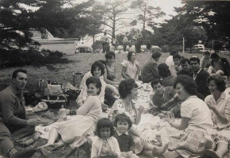 Picnics in the Park