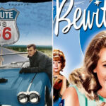 20 Classic ’60s TV Shows That Time Almost Forgot