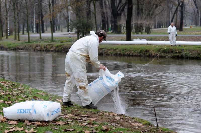 2010 – Environmental Disaster in Italy