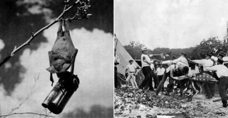 22 U.S. Historical Events You’ll Never Believe Actually Happened