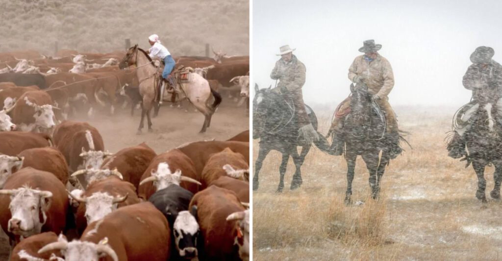 25 Surprising Truths About Cowboys and Their Cattle-Driven Lives