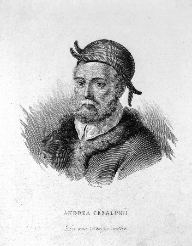 Andrea Cesalpino, Italian philosopher, physician, and botanist (1603)