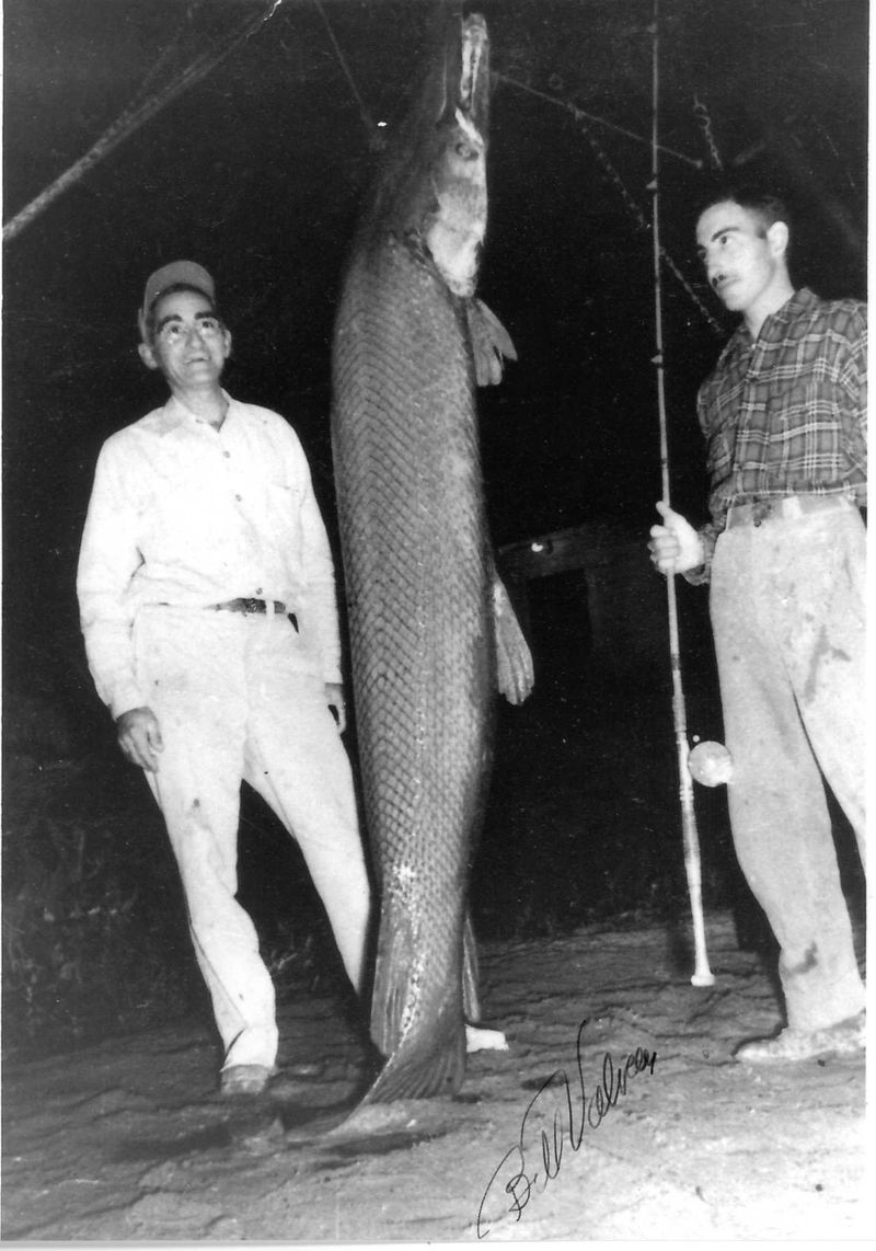 Bill Valverde – 1951 (Alligator Gar, Texas)