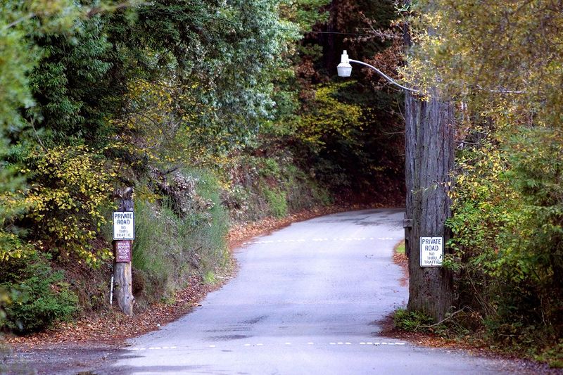 Bohemian Grove, California
