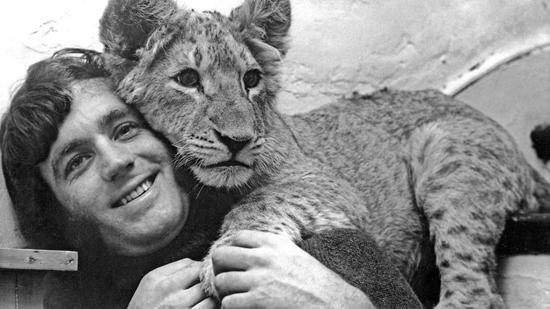 Christian the Lion