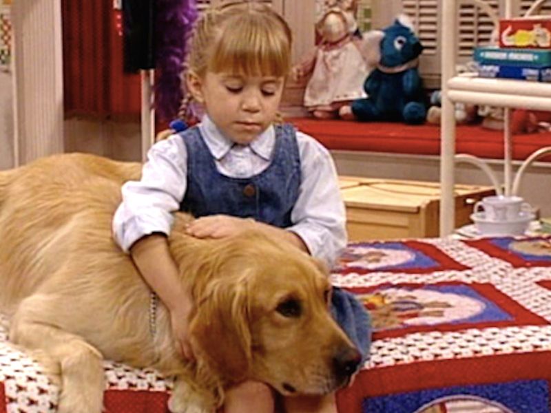 Comet from Full House