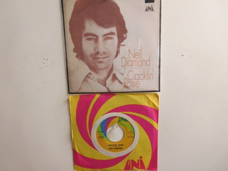 “Cracklin’ Rosie” – Neil Diamond