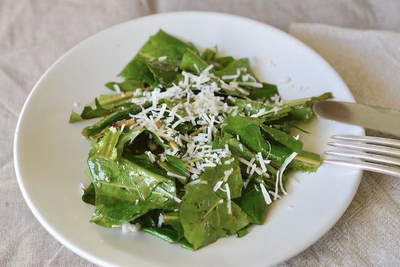 Dandelion Salad