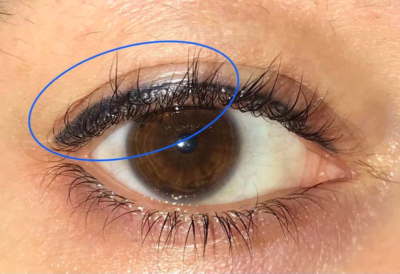 Do Not Use Hair Straighteners on Eyelashes