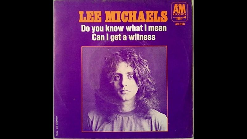 “Do You Know What I Mean” – Lee Michaels