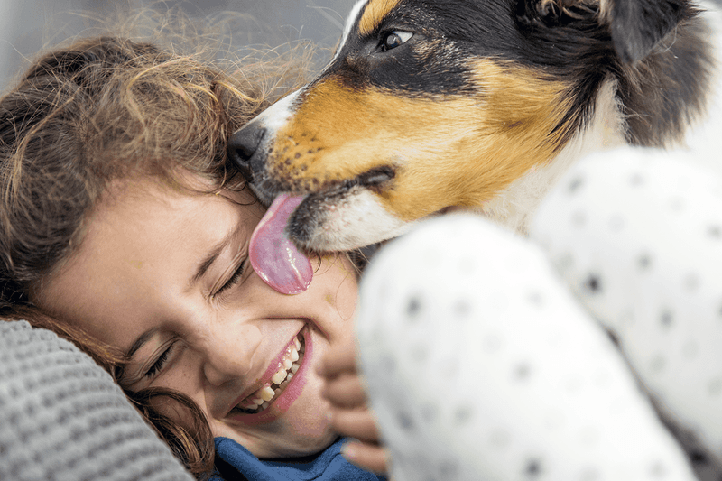 Dogs’ Mouths Are Cleaner Than Humans’