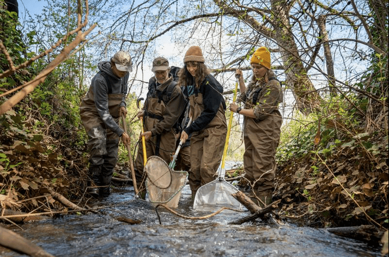 Environmental Leadership