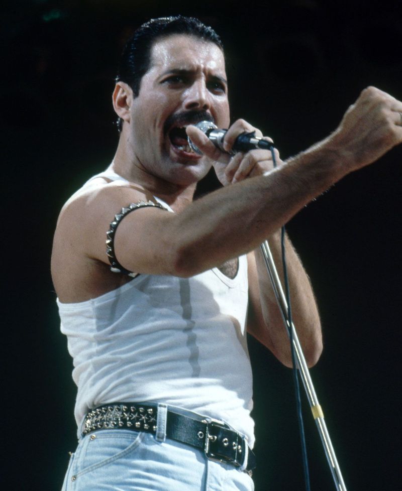 Freddie Mercury Was Born in Zanzibar