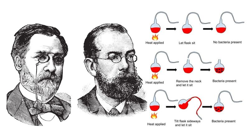 Germ Theory of Disease (Mid-1800s)