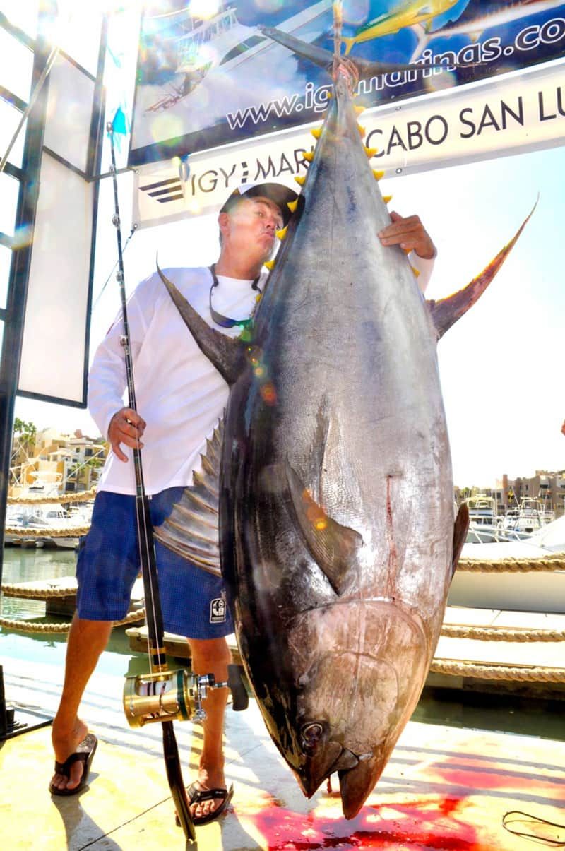 Guy Yocom – 2012 (Yellowfin Tuna, California)