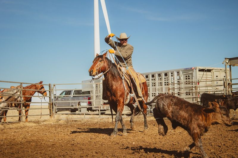 Honor Among Thieves (Cattle Thieves)