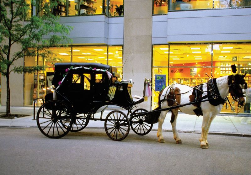 Horse-Drawn Carriages