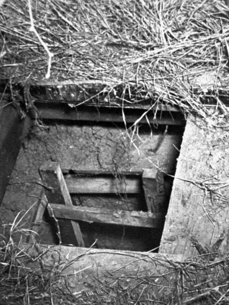 The Secret Tunnel: How They Dug 178 Feet to Freedom