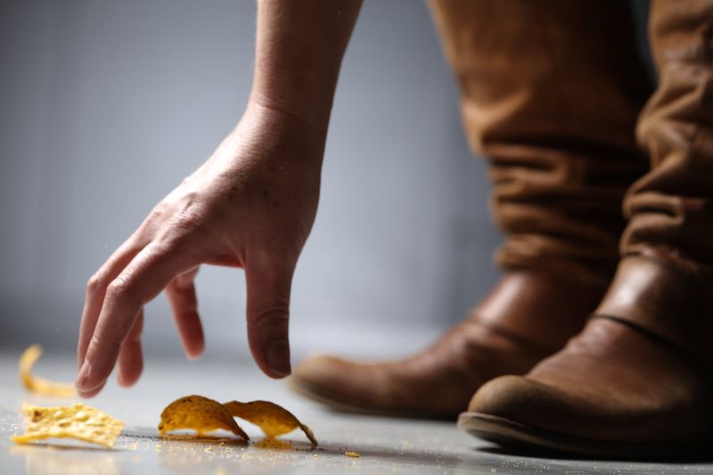 If You Drop Food on the Floor, You Have Five Seconds to Pick It Up Without Risk