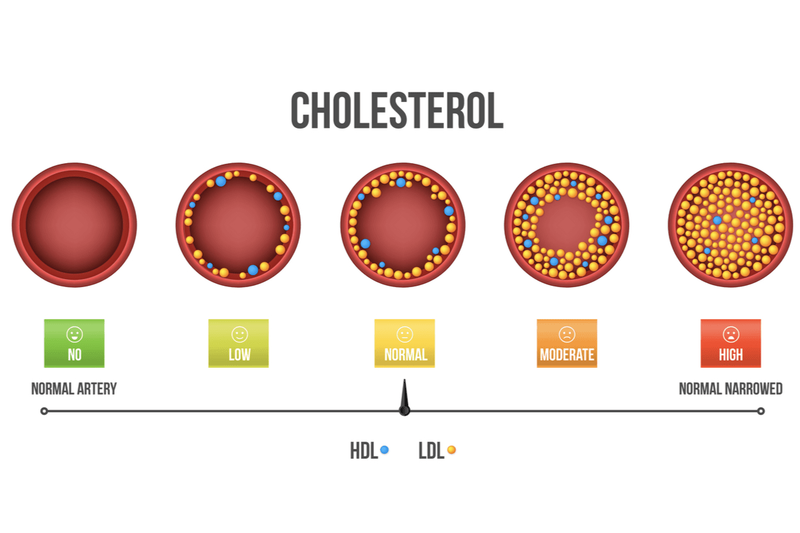 Introduction of Statins for Cardiovascular Health (1980s)