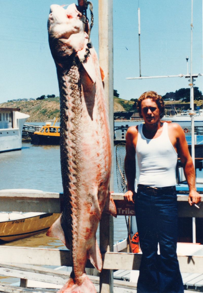 Joey Pallotta – 1983 (White Sturgeon, California)