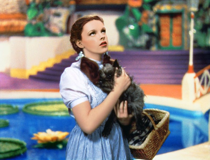 Judy Garland in The Wizard of Oz