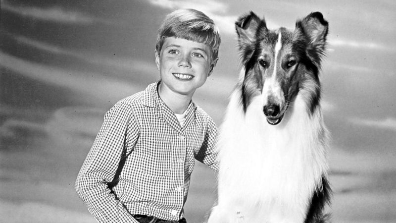 Lassie from Lassie