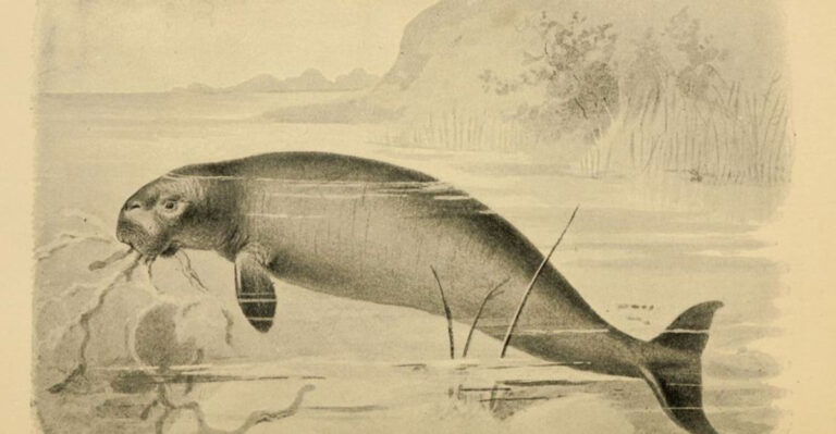 Lost Giants: 14 American Beasts That Once Roamed the Land