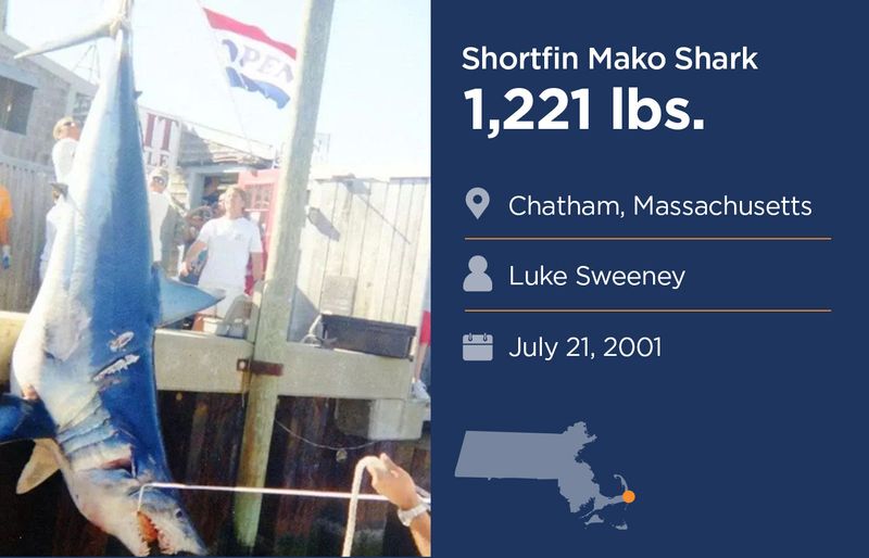 Luke Sweeney – 2013 (Mako Shark, Massachusetts)