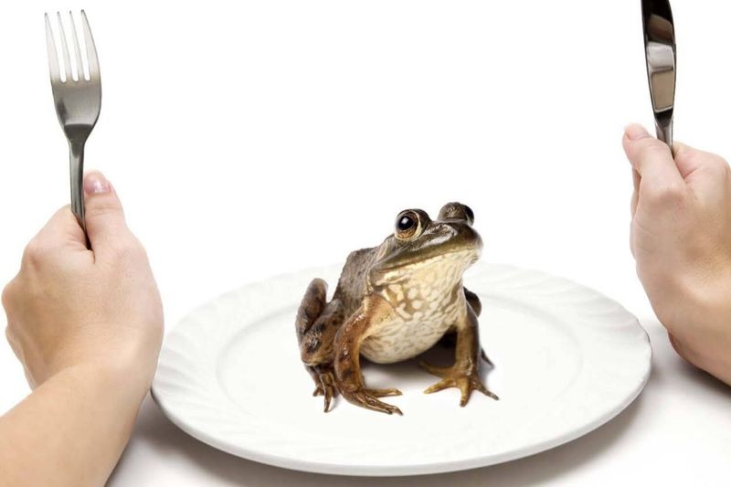 Man Attributes Health to Eating Live Frogs Daily