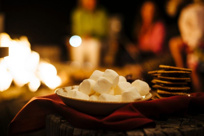 Mastering the Art of S'mores Making