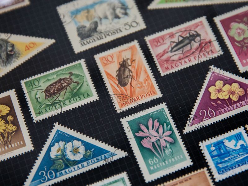 Mastering the Art of Stamp Collecting