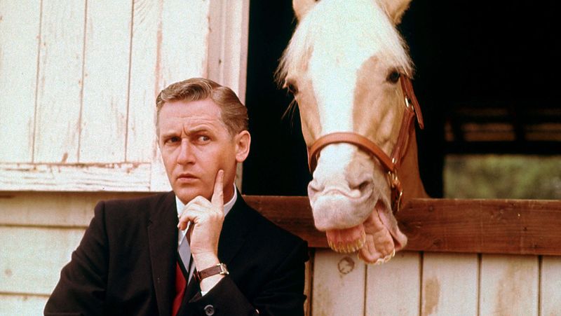 Mr. Ed from Mister Ed