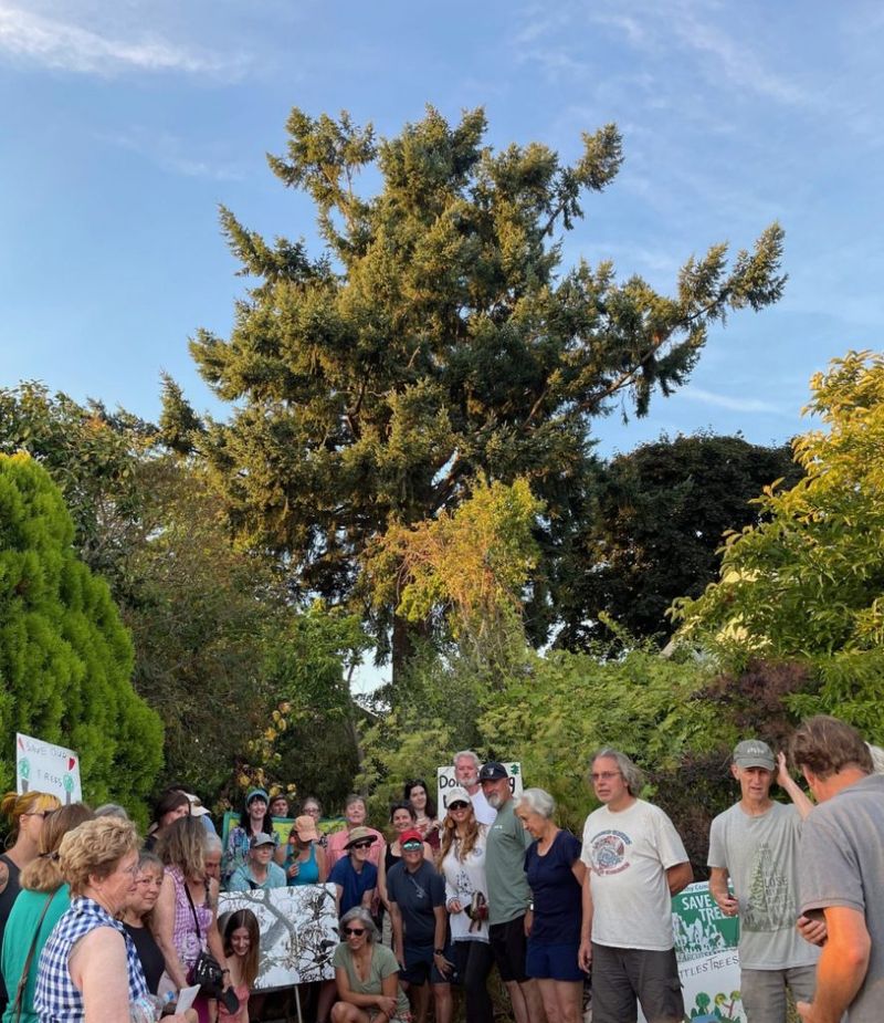 Neighborhood Block Parties